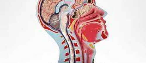 Nevrologiya, mərkəzi sinir sisteminin iltihabi xəstəlikləri, nevroloji xəstəliklər, nevroloji müayinə