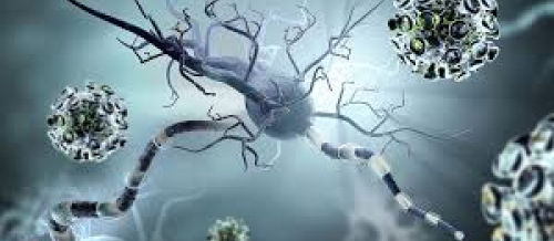 Nevrologiya şöbəsi, nevroloji xəstəliklər, nevroloji müayinə, nevroloji müalicə, neyrocərrahiyyə