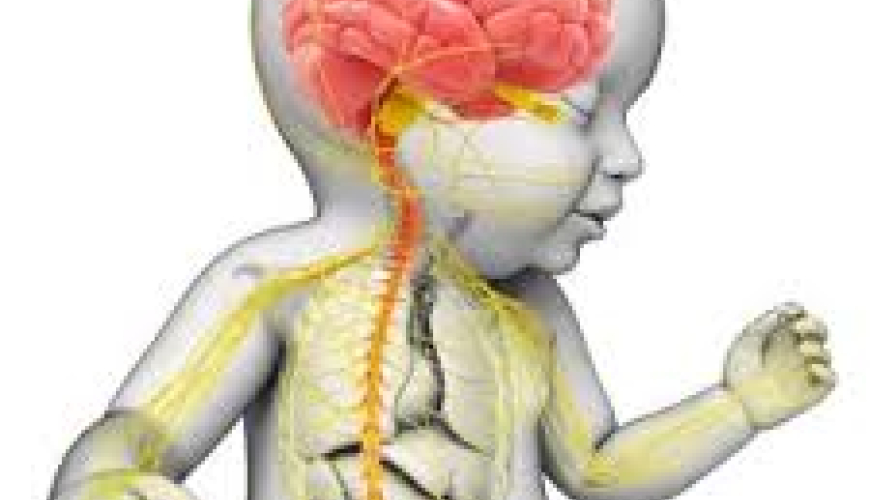 Nevrologiya, nevroloji simptomlar, nevroloji müayinə, nevroloji müalicə, nevroloji xəstəliklər