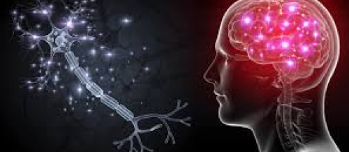 Nevroloji xəstəliklər, nevrologiyada simptomlar, sinir sisteminin xəstəlikləri, nevroloji müayinə