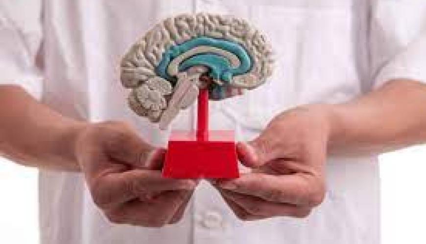 Nevrologiya, nevrologiyada müalicə üsulları, nevroloji müayinə, nevroloji xəstəliklər