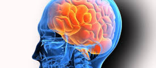 Nevrologiya, nevrologiyada müalicə üsulları, nevroloji müayinə, nevroloji xəstəliklər, nevroloq