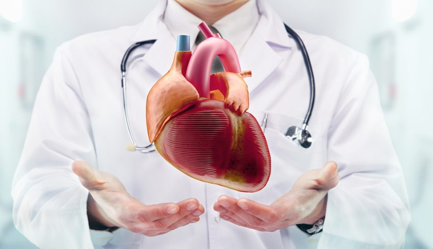 Kardioloji, EKQ, Stress Test, Transtorakal Ekokardiyografiya, Stress Exokardioqrafiya, Kardiologiya Şöbəsi