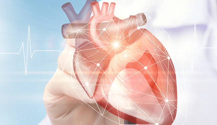 Kardiologiya, Ürək-damar cərrahiyyəsi, Ürəyin işəmik xəstəliyi, Aorto, Qazanılmış ürək qüsurları, Ürək qapağı xəstəliyi