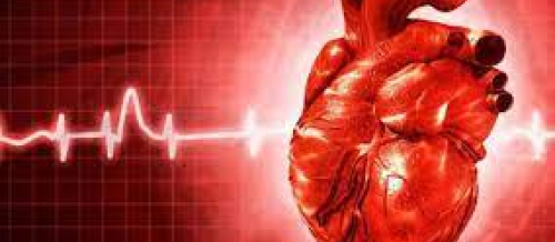 Kardiologiya, Ürək-damar cərrahiyyəsi, Ürəyin işəmik xəstəliyi, Aorto, Qazanılmış ürək qüsurları, Ürək qapağı xəstəliyi