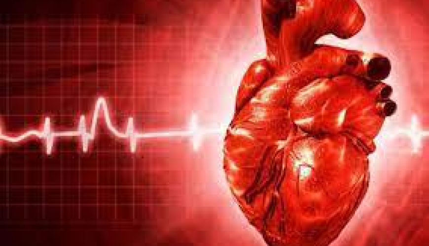 Kardiologiya, Ürək-damar cərrahiyyəsi, Ürəyin işəmik xəstəliyi, Aorto, Qazanılmış ürək qüsurları, Ürək qapağı xəstəliyi