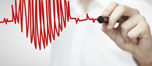 Ürək-damar sistemi xəstəlikləri, Qan damarları və onların təmizlənməsi, Elastiki tipli arteriyalar, Əzələ tipli arteriyalar