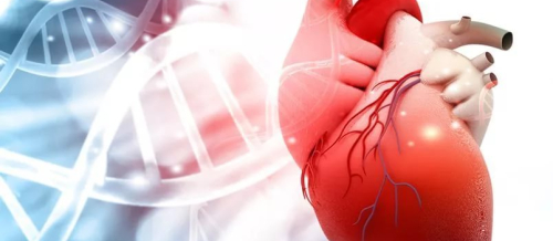 Kardioloji reabilitasiya nədir, Kardioloji xəstəliklərin əlamətləri, Koroner ürək xəstəlikləri, EKQ testi