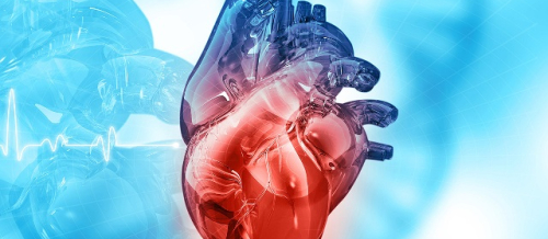 Kardioloji reabilitasiya nədir, Kardioloji xəstəliklərin əlamətləri, Koroner ürək xəstəlikləri, EKQ testi