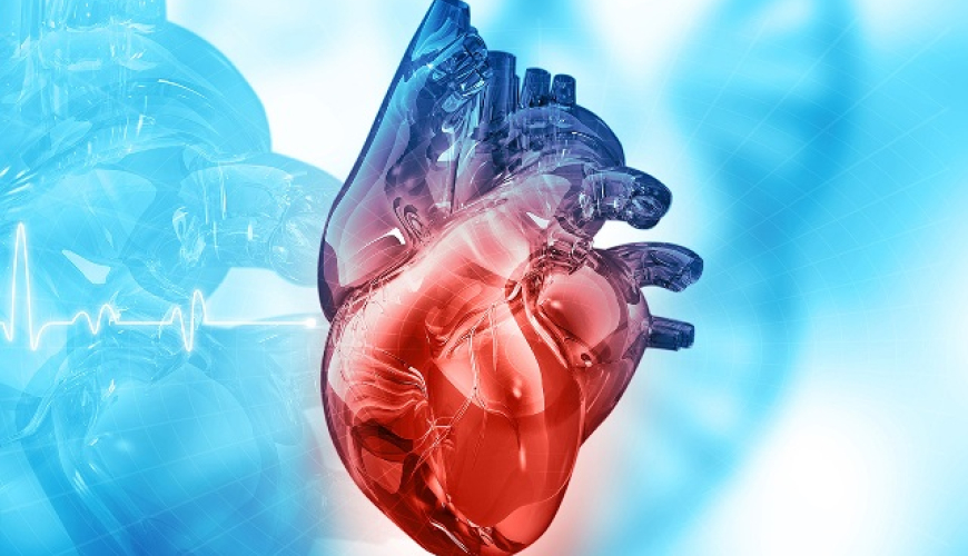 Kardioloji reabilitasiya nədir, Kardioloji xəstəliklərin əlamətləri, Koroner ürək xəstəlikləri, EKQ testi