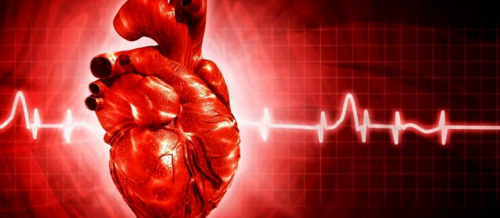 Kardiologiya, İnfarkt simptomu, Ürək-damar xəstəlikləri, Kardioloji bərpa, Kardioloji reabilitasiya proqramı