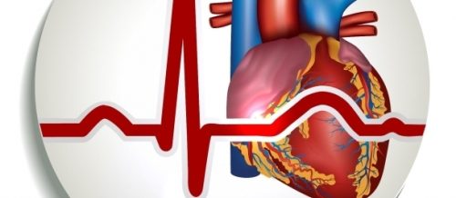 Kardiologiya, İnfarkt simptomu, Ürək-damar xəstəlikləri, Kardioloji bərpa, Kardioloji reabilitasiya proqramı