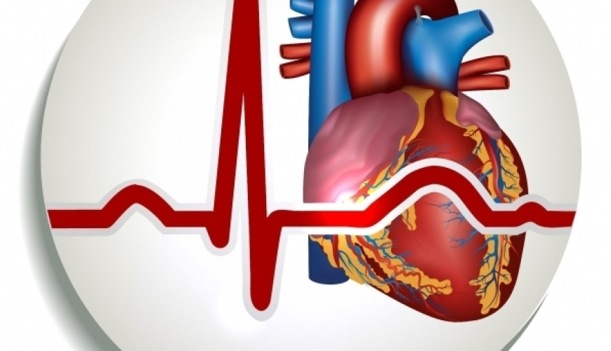 Kardiologiya, İnfarkt simptomu, Ürək-damar xəstəlikləri, Kardioloji bərpa, Kardioloji reabilitasiya proqramı