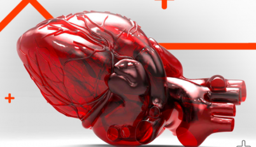 Kardioloji, EKQ, Stress Test, Transtorakal Ekokardiyografiya, Stress Exokardioqrafiya, Kardiologiya Şöbəsi